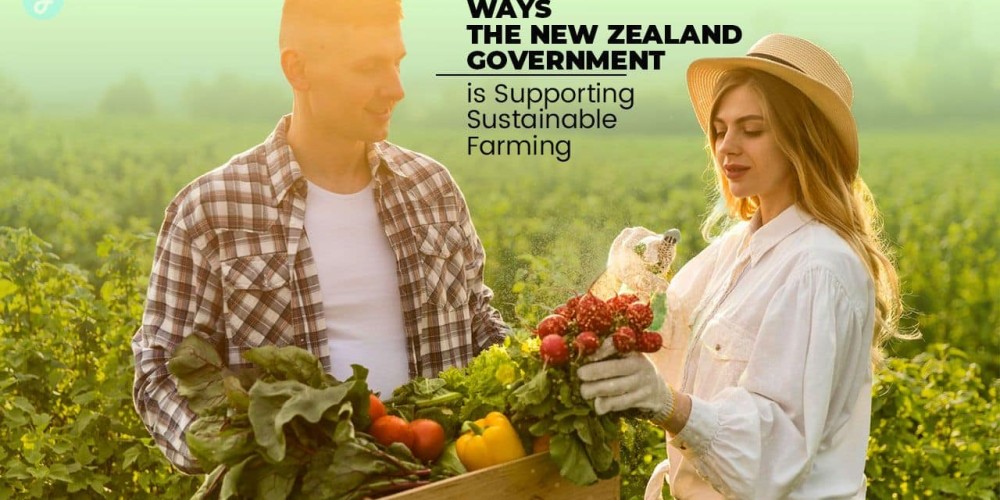 10 Ways the New Zealand Government is Advancing Sustainable Farming 10 Ways the New Zealand Government is Advancing Sustainable Farming