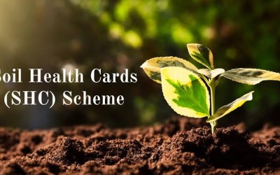 A Comprehensive Review of the Soil Health Status for Enhancing Agricultural Sustainability