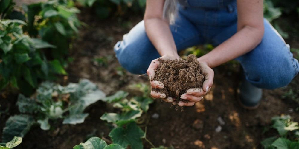 Purina advances partnerships for regenerative agriculture Purina advances partnerships for regenerative agriculture