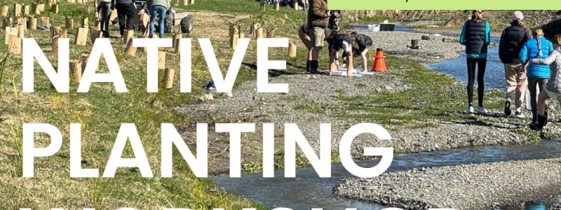 Native Planting Workshop | Future Farming
