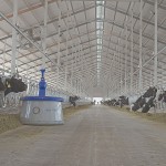 AI-powered robotic feed pusher