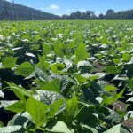 Carbon Positive Update