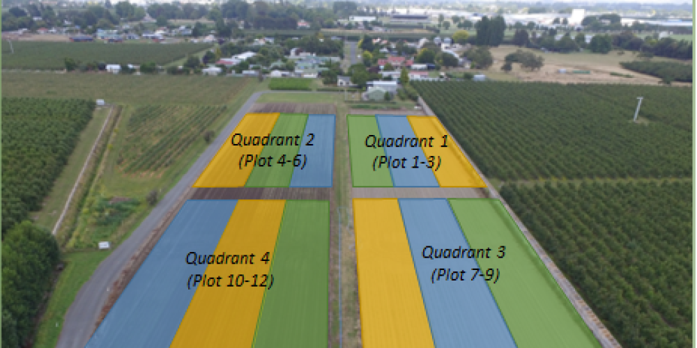 Dan Bloomer - Carbon positive intensive cropping project