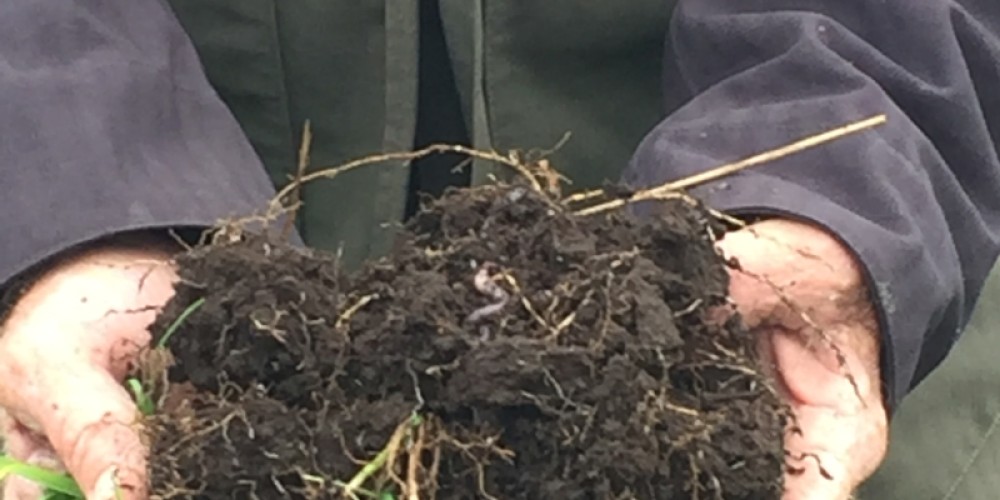 Trust submits on soil carbon sequestration Trust submits on soil carbon sequestration