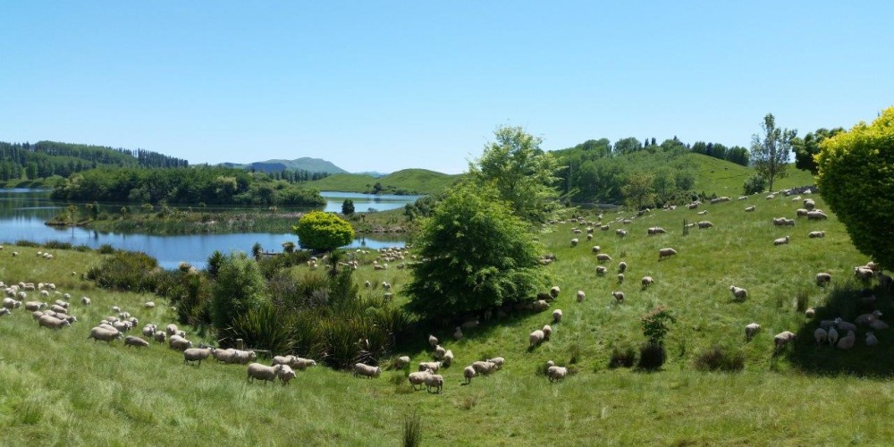 Future Whenua Summit