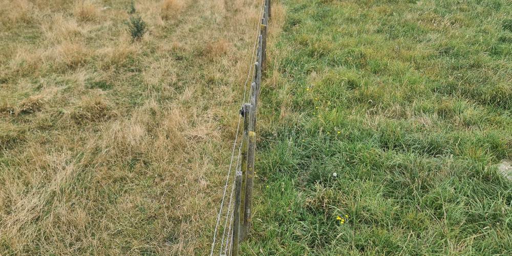 Promoting on-farm climate resilience Promoting on-farm climate resilience