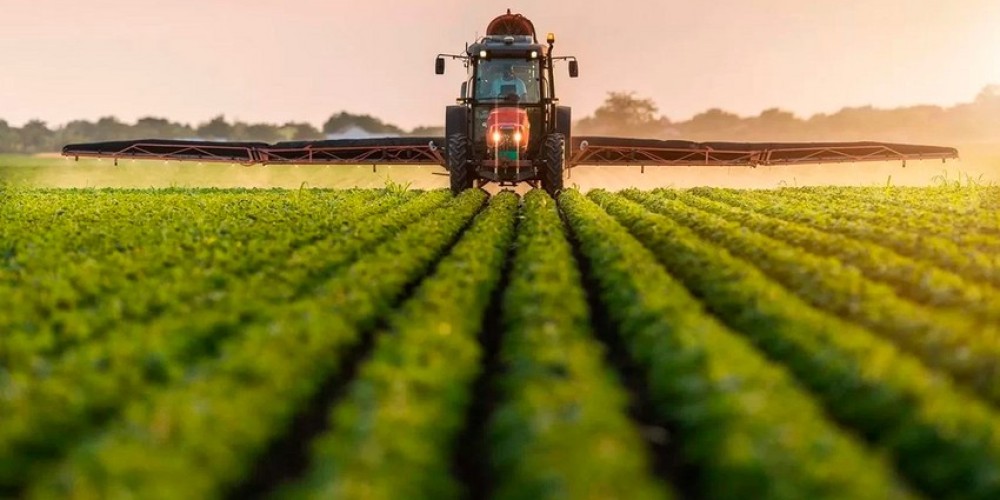 Small Farmers and Regenerative Agriculture: The Key to Sustainable Development Small Farmers and Regenerative Agriculture: The Key to Sustainable Development