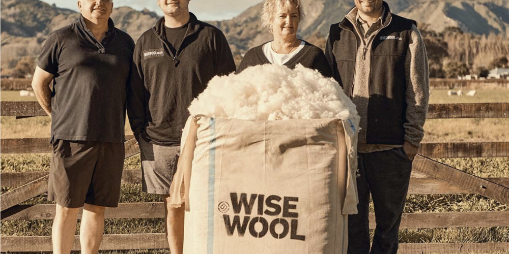 Wisewool