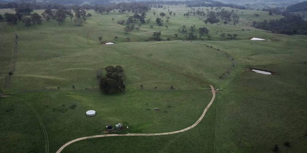 Wilmot Cattle Co's Soil Carbon Sequestration - A Profitable Venture or Short-Term Fix?