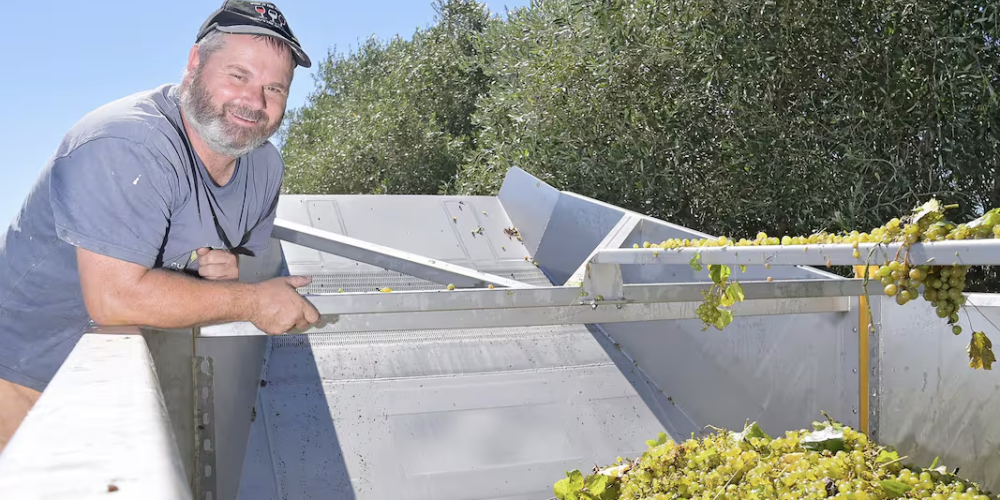 Wrights Vineyard Wins Big at Organic Awards, Championing Gisborne Sauvignon Blanc Wrights Vineyard Wins Big at Organic Awards, Championing Gisborne Sauvignon Blanc