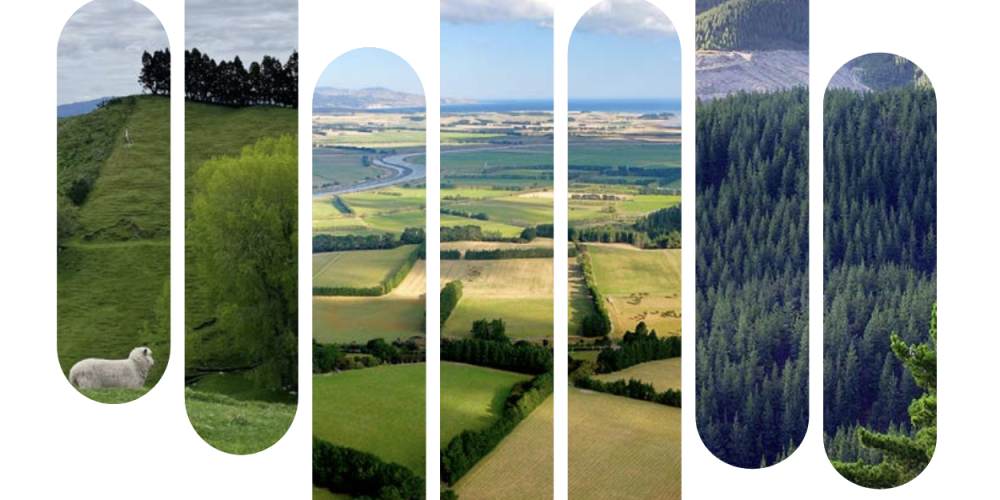 Going with the grain Changing land uses to fit a changing landscape Going with the grain Changing land uses to fit a changing landscape