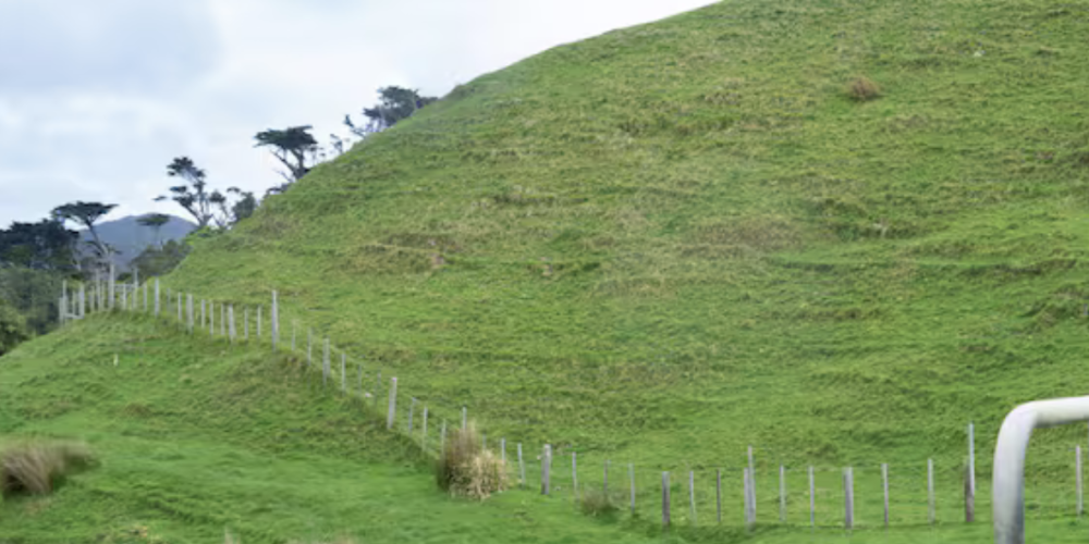 New Farm Cadet Training Facility to Open in Hawke's Bay New Farm Cadet Training Facility to Open in Hawke's Bay
