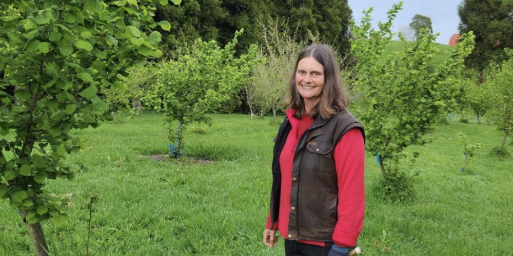 NZ Hazelnut Growers Call for Research Investment to Unlock Industry Potential NZ Hazelnut Growers Call for Research Investment to Unlock Industry Potential