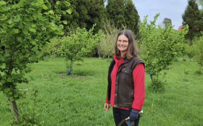 NZ Hazelnut Growers Call for Research Investment to Unlock Industry Potential
