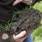 Soil Carbon Credits - A Growing Opportunity for Agriculture and Climate Action