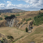 Tree Planting Helps Tackle Erosion on Hawke’s Bay Farms