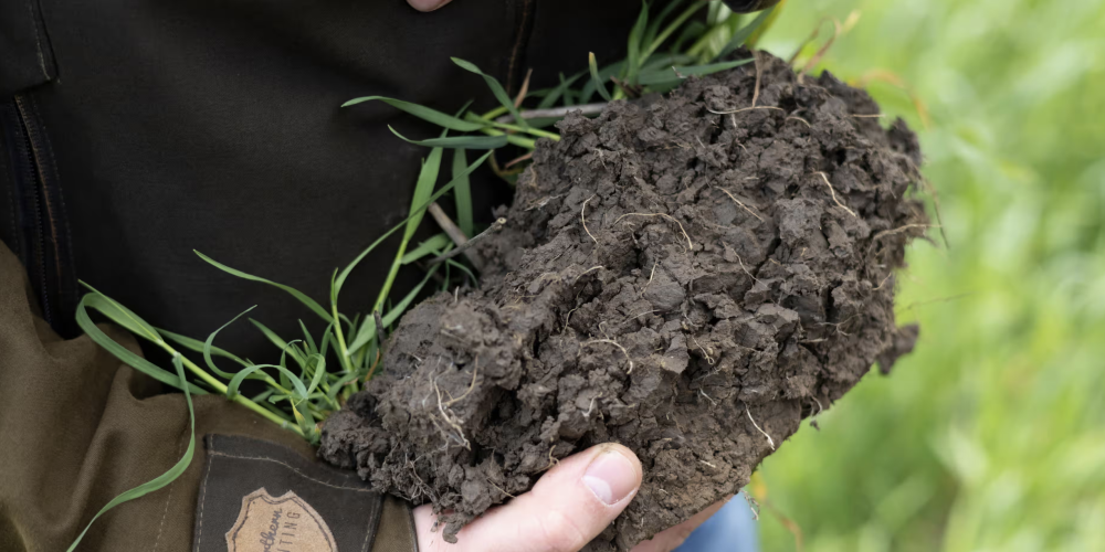 Soil Carbon Credits - A Growing Opportunity for Agriculture and Climate Action Soil Carbon Credits - A Growing Opportunity for Agriculture and Climate Action