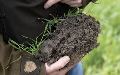 Soil Carbon Credits - A Growing Opportunity for Agriculture and Climate Action
