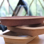 Blueberry Waste Transformed into Eco-Friendly Trays