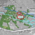 Native Planting Revives Stream Ecosystem on Tallott Family Farm