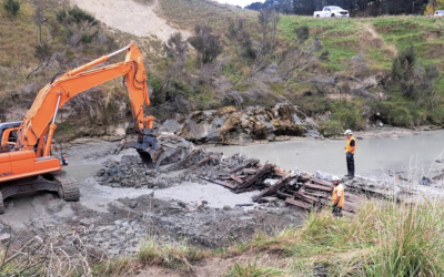 New Catchment Collective Drives Positive Change in Tararua