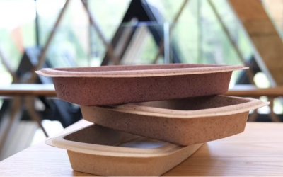 Blueberry Waste Transformed into Eco-Friendly Trays