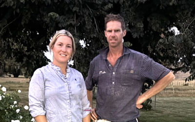 Soil Health at the Heart of Ludlow Farms' Sustainable Journey