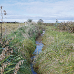 Farmers and Catchment Groups Driving the Next Wave of Freshwater Restoration