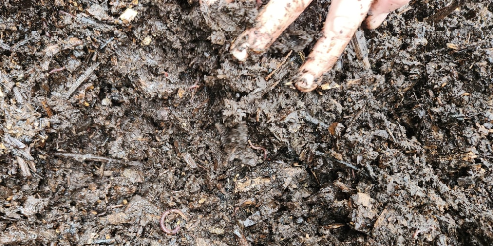 Lowering Costs and Enriching the Soil – One Farmer’s Regenerative Journey Lowering Costs and Enriching the Soil – One Farmer’s Regenerative Journey