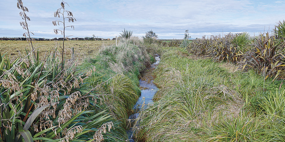 Farmers and Catchment Groups Driving the Next Wave of Freshwater Restoration Farmers and Catchment Groups Driving the Next Wave of Freshwater Restoration