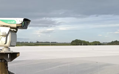 On The Up - Laser Bird Deterrent Saves Hawke’s Bay Kiwifruit Orchard from Gull Invasion