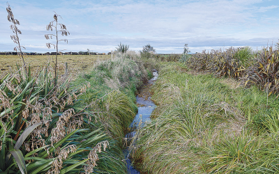 Farmers and Catchment Groups Driving the Next Wave of Freshwater Restoration