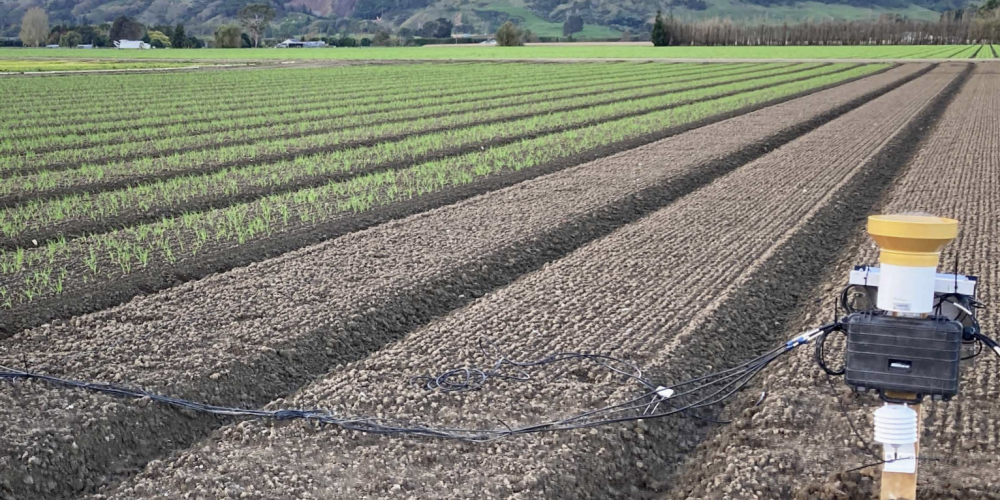 Rebuilding Soil Health in Aotearoa - Woolworths NZ’s White Paper on Regenerative Agriculture Rebuilding Soil Health in Aotearoa - Woolworths NZ’s White Paper on Regenerative Agriculture