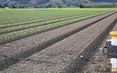 Rebuilding Soil Health in Aotearoa - Woolworths NZ’s White Paper on Regenerative Agriculture