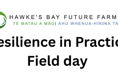 Resilience in Practice Field day