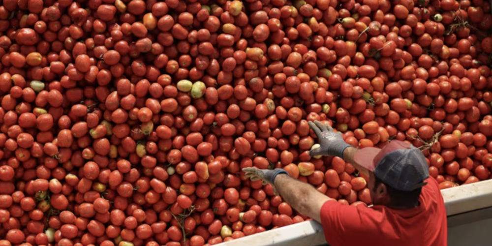 Kraft Heinz - Why Regenerative Agriculture is a Business Essential Kraft Heinz - Why Regenerative Agriculture is a Business Essential