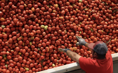 Kraft Heinz - Why Regenerative Agriculture is a Business Essential