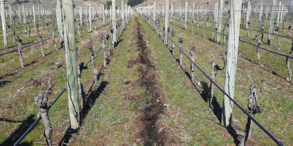 Craggy Range trial holds water, nutrients Craggy Range trial holds water, nutrients