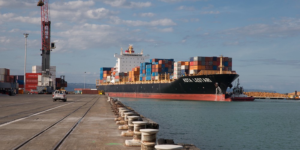 Napier Port on track to manage seasonal peak