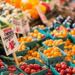 NZ’s Organic Sector Tops $1 Billion as Industry Calls for Urgent Investment in Land and Policy Support