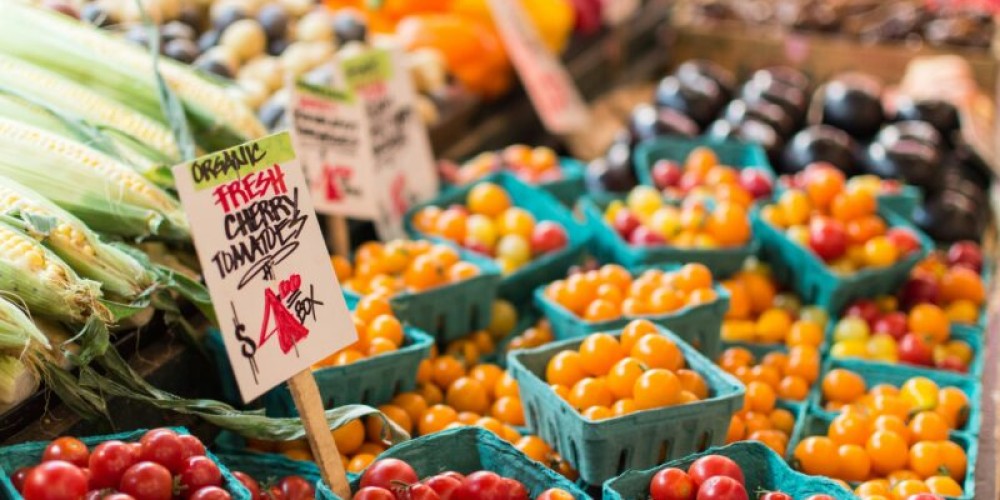 NZ’s Organic Sector Tops $1 Billion as Industry Calls for Urgent Investment in Land and Policy Support NZ’s Organic Sector Tops $1 Billion as Industry Calls for Urgent Investment in Land and Policy Support