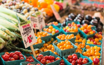 NZ’s Organic Sector Tops $1 Billion as Industry Calls for Urgent Investment in Land and Policy Support