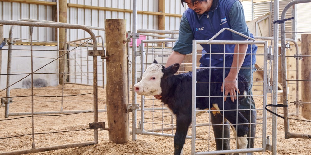 Enhancing Farm Safety: Innovative Solutions to Prevent Injuries