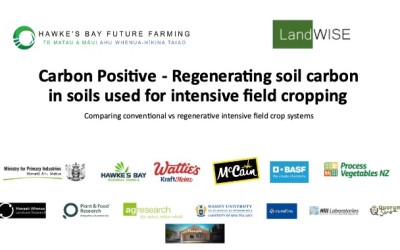 Carbon Positive Project Update - Cover Crops