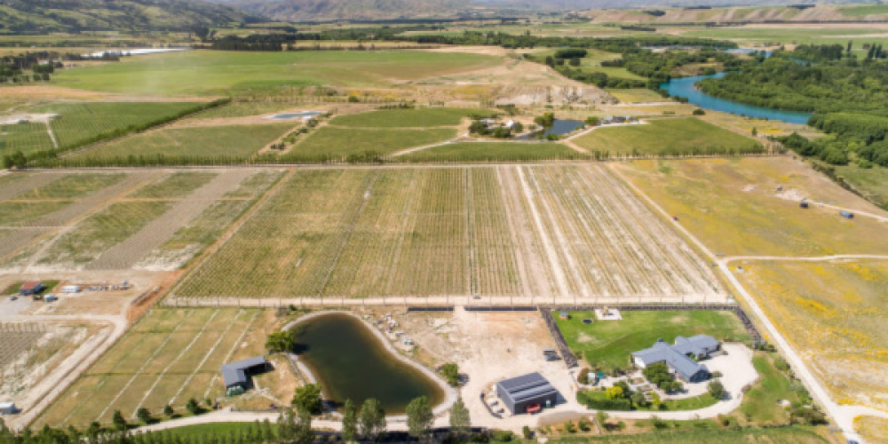 The World's First 100% Electric, Zero Fossil Fuel Cherry Farm