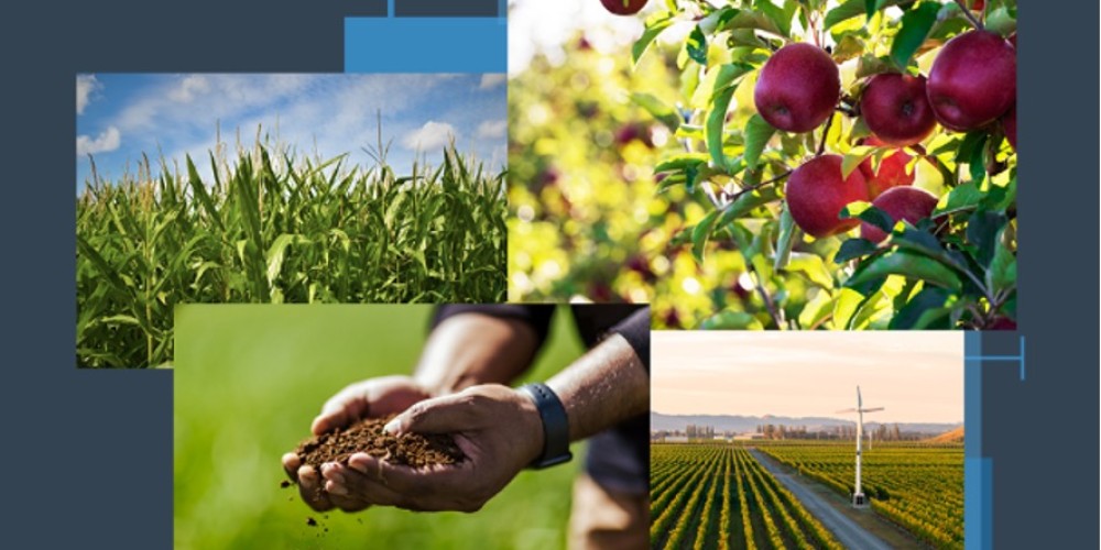 HortPlus is a New Zealand-based agricultural technology HortPlus is a New Zealand-based agricultural technology