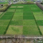 Innovative Approaches to Sustainable Farming: Integrating Soil Science, Pasture Management, and Dairy Research