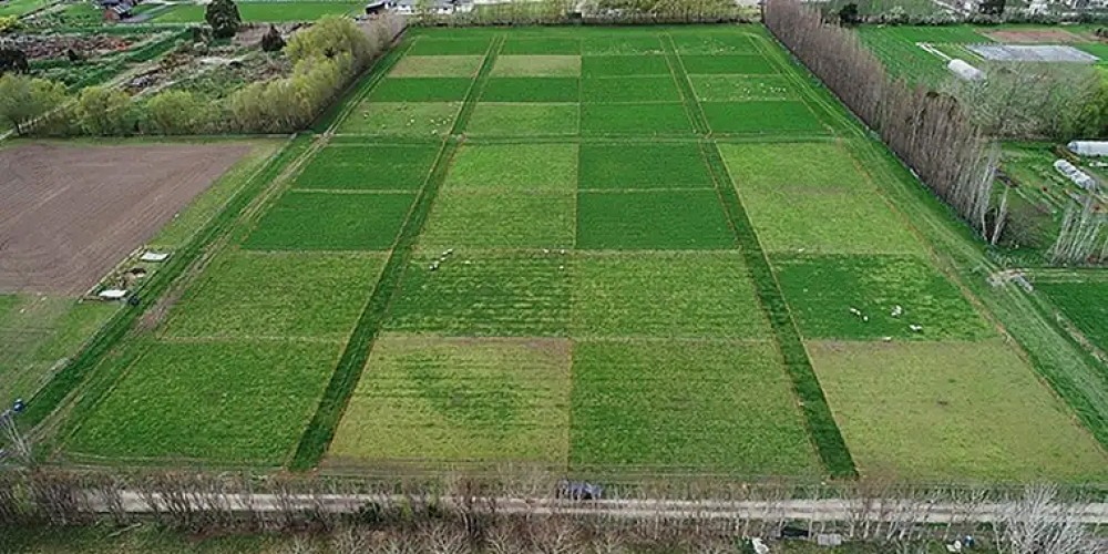 Innovative Approaches to Sustainable Farming: Integrating Soil Science, Pasture Management, and Dairy Research Innovative Approaches to Sustainable Farming: Integrating Soil Science, Pasture Management, and Dairy Research