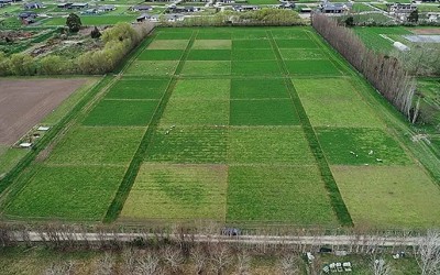 Innovative Approaches to Sustainable Farming: Integrating Soil Science, Pasture Management, and Dairy Research