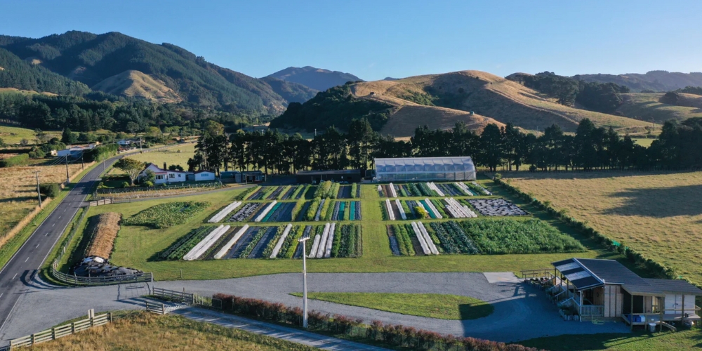 Mangaroa Farms - Cultivating Sustainability and Regenerative Agriculture in Whitemans Valley